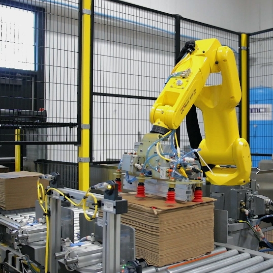 Inbound Conveyor with Bundle and Robotic Arm