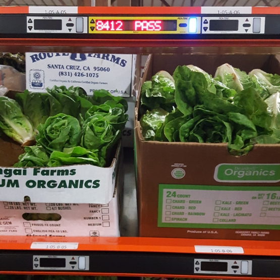 Pick-to-Light System for Produce