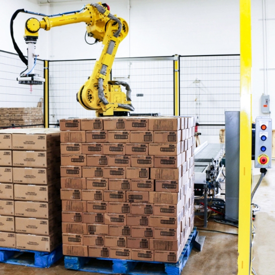 Robotic Palletizer Controls